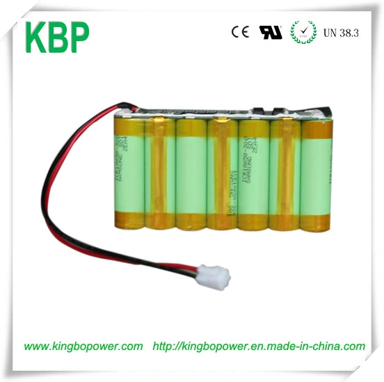 Waterproof Housing 18650 48V 20ah Electric Bike Lithium Battery