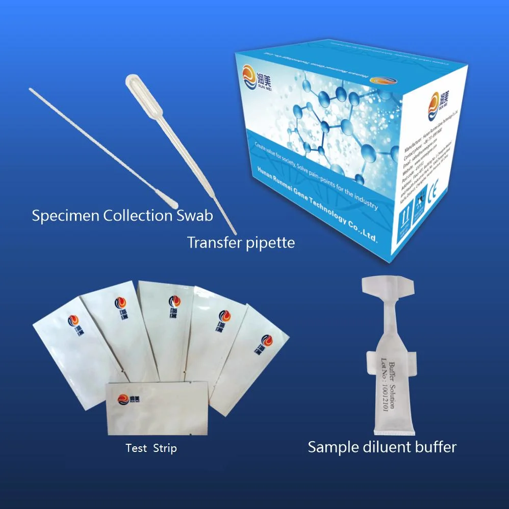 CE ISO13485 Kit de test de l'antigène rapide approuvé, test de diagnostic rapide, l'antigène l'or colloïdal produits, un test rapide de la grippe B Antigène rapide Kit de test d'accueil