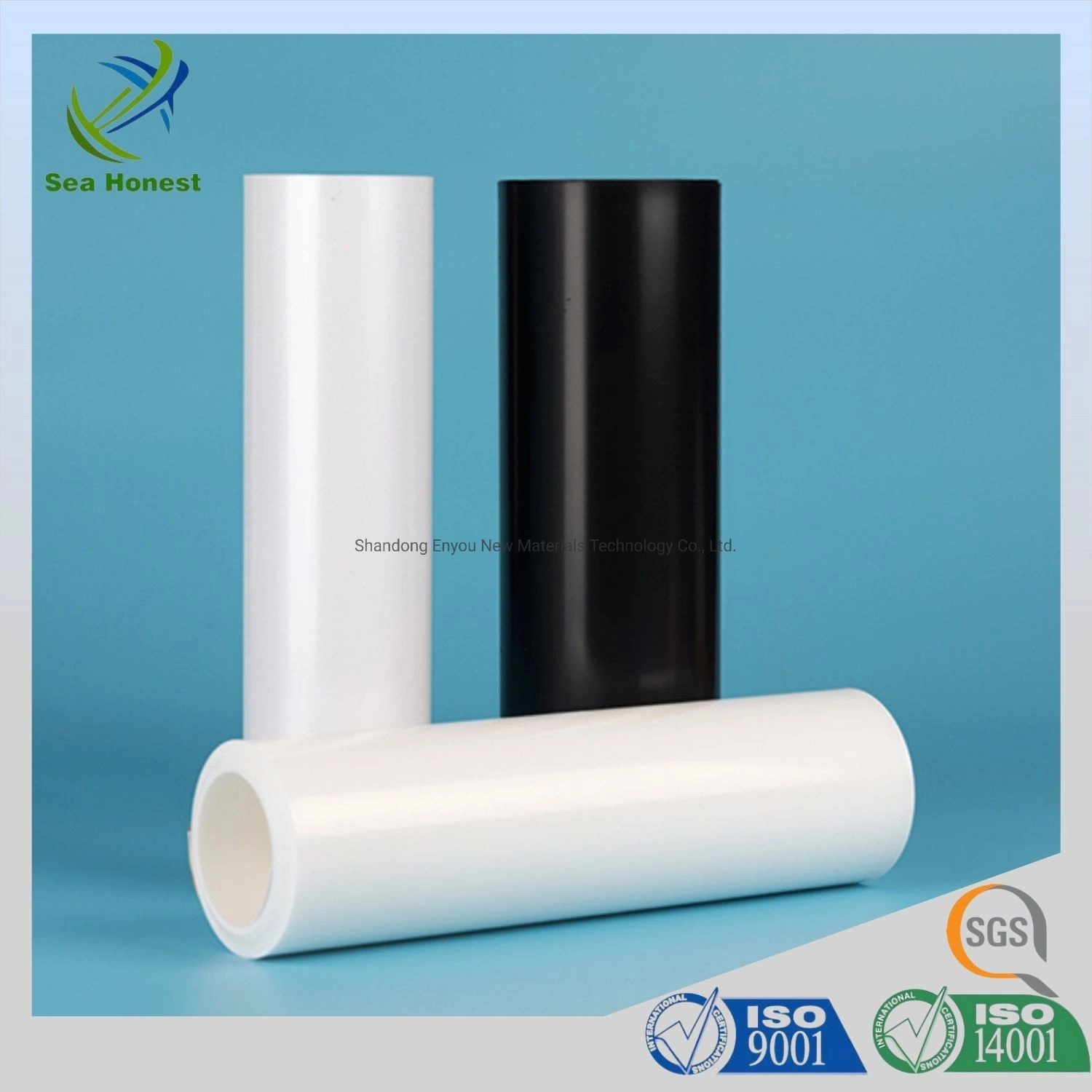 Transparent PP Polypropylene Roll Sheet for Blister Packaging