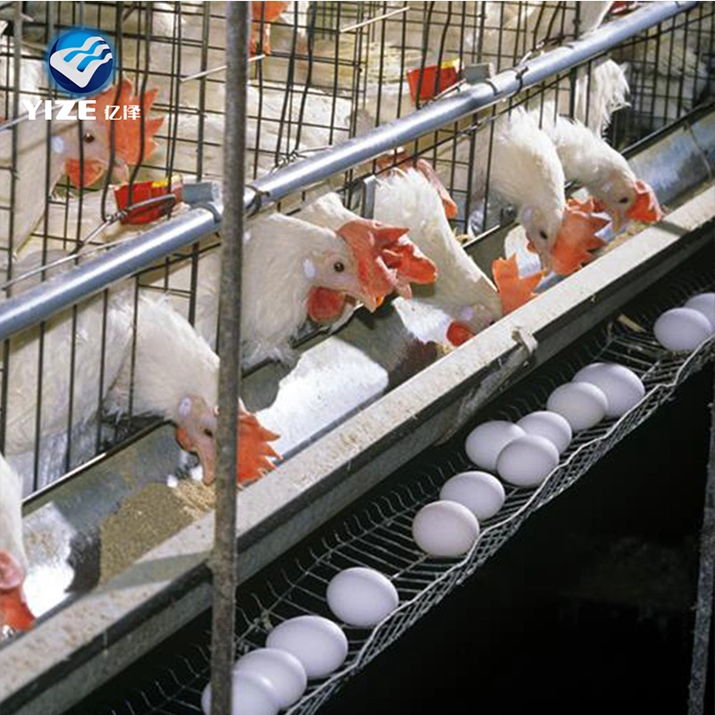 Hot Sale une couche de type 4 de la cage de poulet galvanisé pour l'Éthiopie ferme avicole