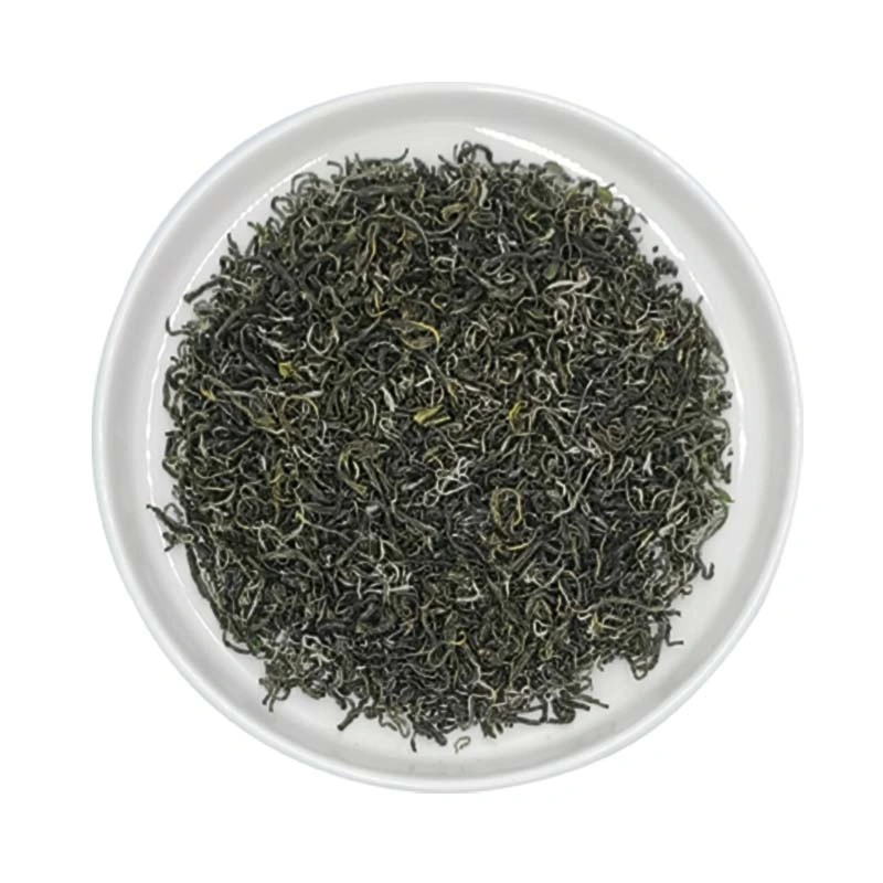 China Fornecedor Duyun Mao Jian Premium Green Tea for Export