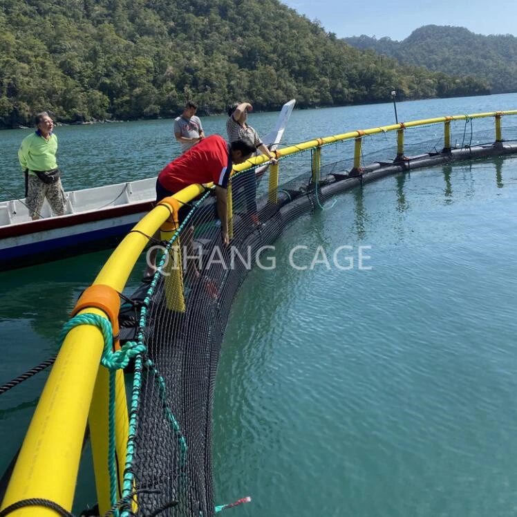 Sea Cage for Fish with HDPE Frame and Mooring System