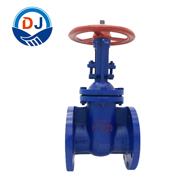 New Products Listed Blue Appearance Gray Cast Iron Gate Valve