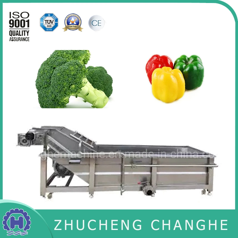 Fruit and Vegetable Cleaning Mach Cleaner Device Fruit Vegetable Cleaning Machine