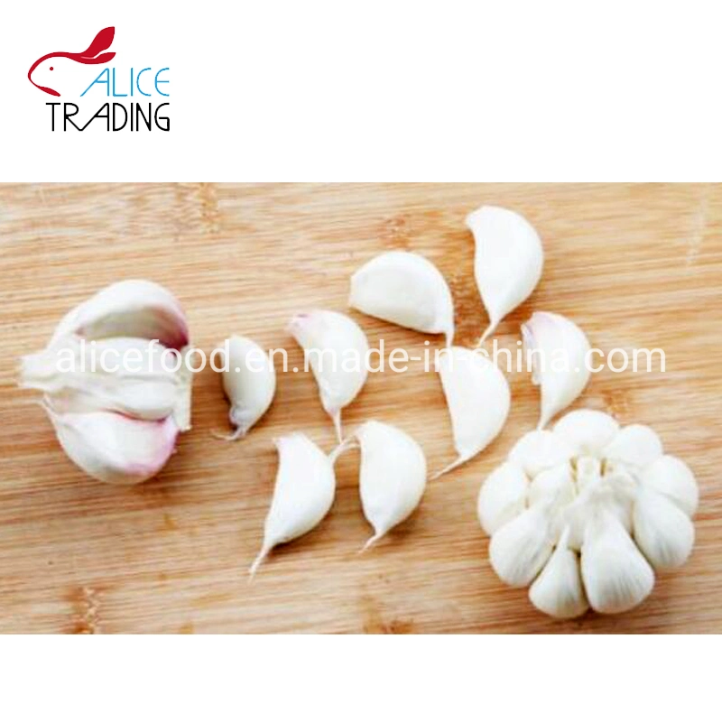 Vacuum Fried Foods Vf Garlic