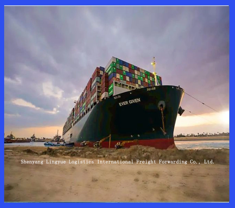 Professional Agent Sea Freight Service From Shenyang in China to Palau Shipping Freight