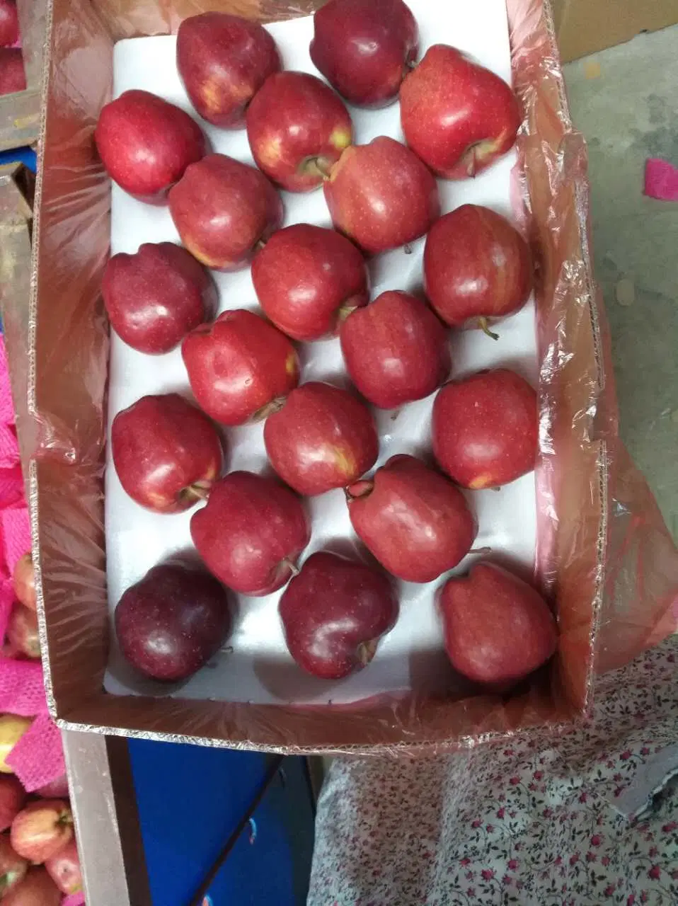 Fresh chinois Huaniu pommes Red Delicious /