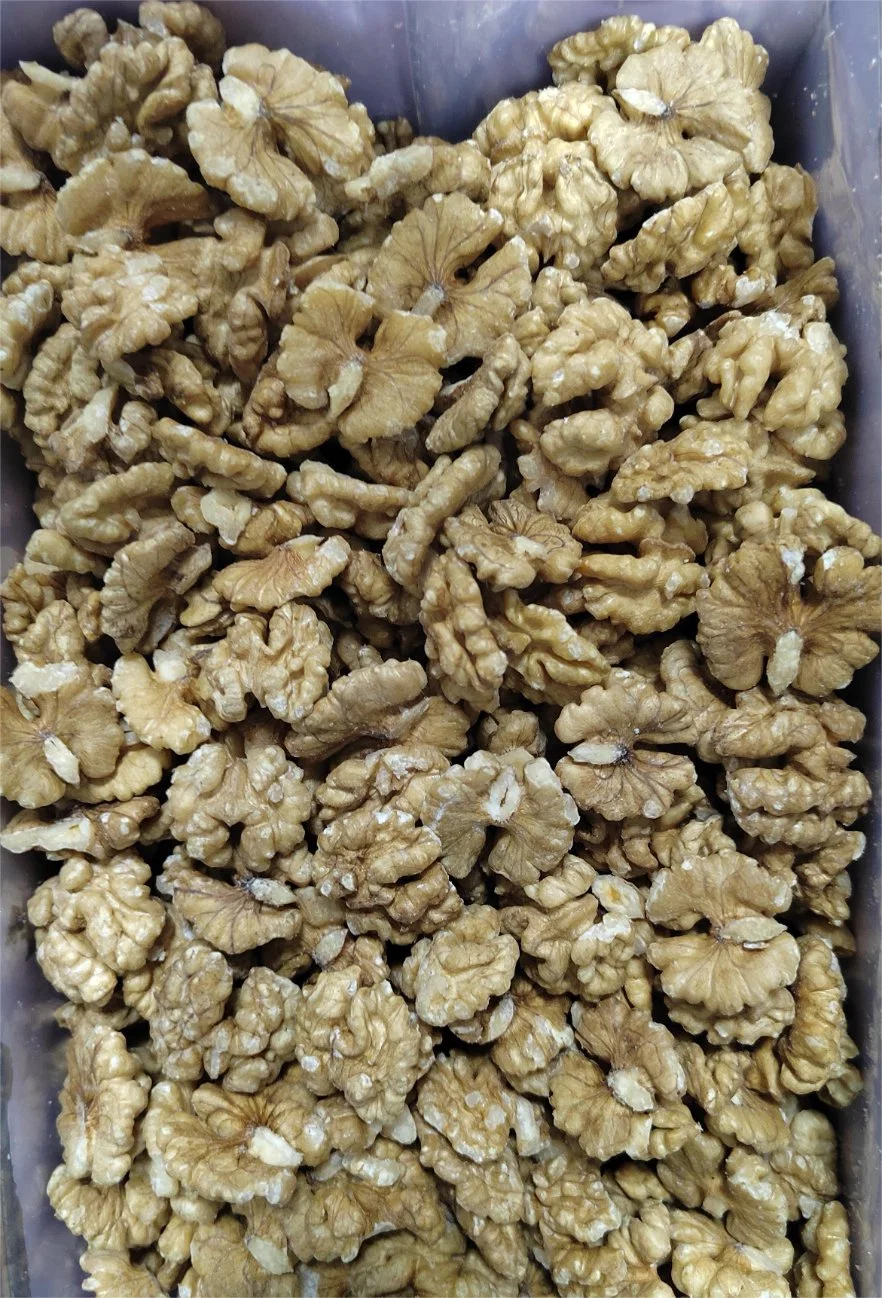 Dubai Quality Extra Light Chinese Yunnan Walnut Kernels Elh80