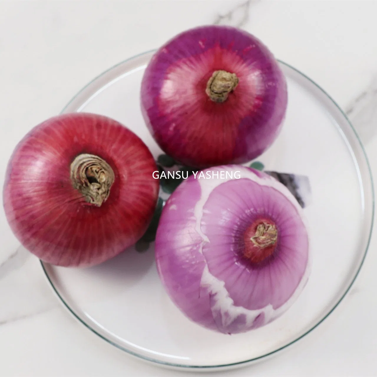 Onion Vegetables New Quality Fresh Red Onion Crop Wholesale/Supplier