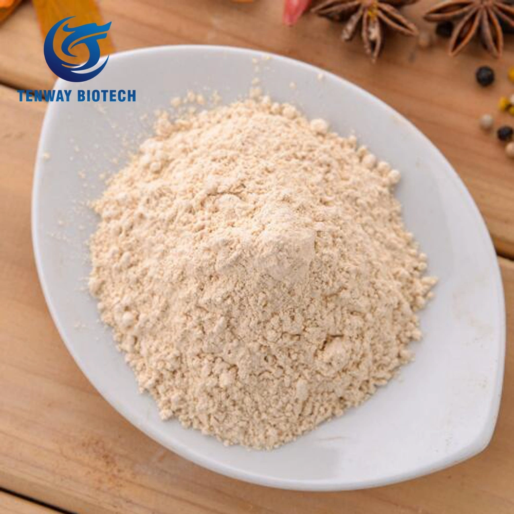 100% Pure & Natural Food Ingredient Seasoning Dehydrated Garlic Powder in Bulk at Low Price