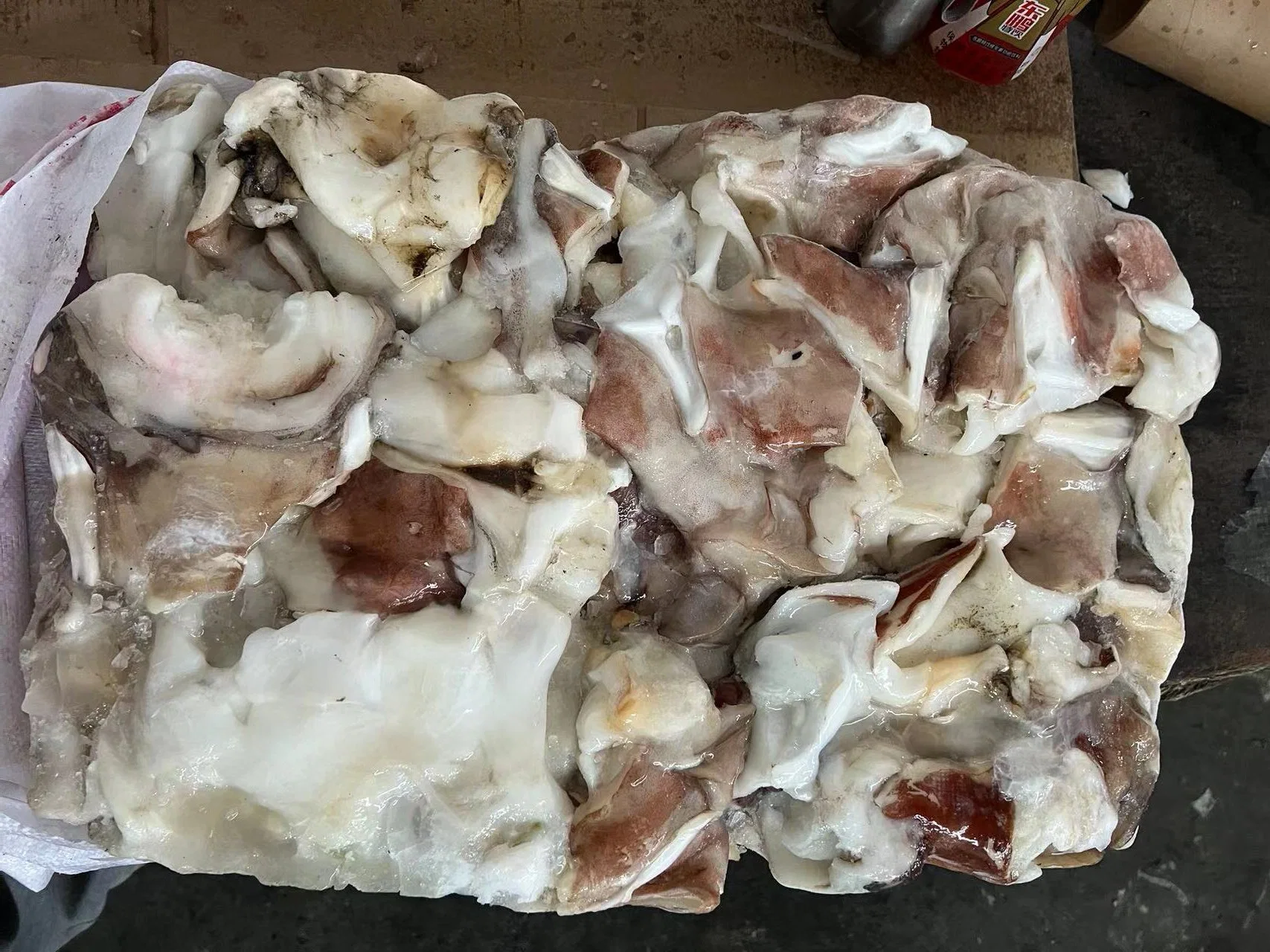 Hohe Qualität/hohe Kostenleistung Frozen Giant Squid Neck 500g+ für Thailand