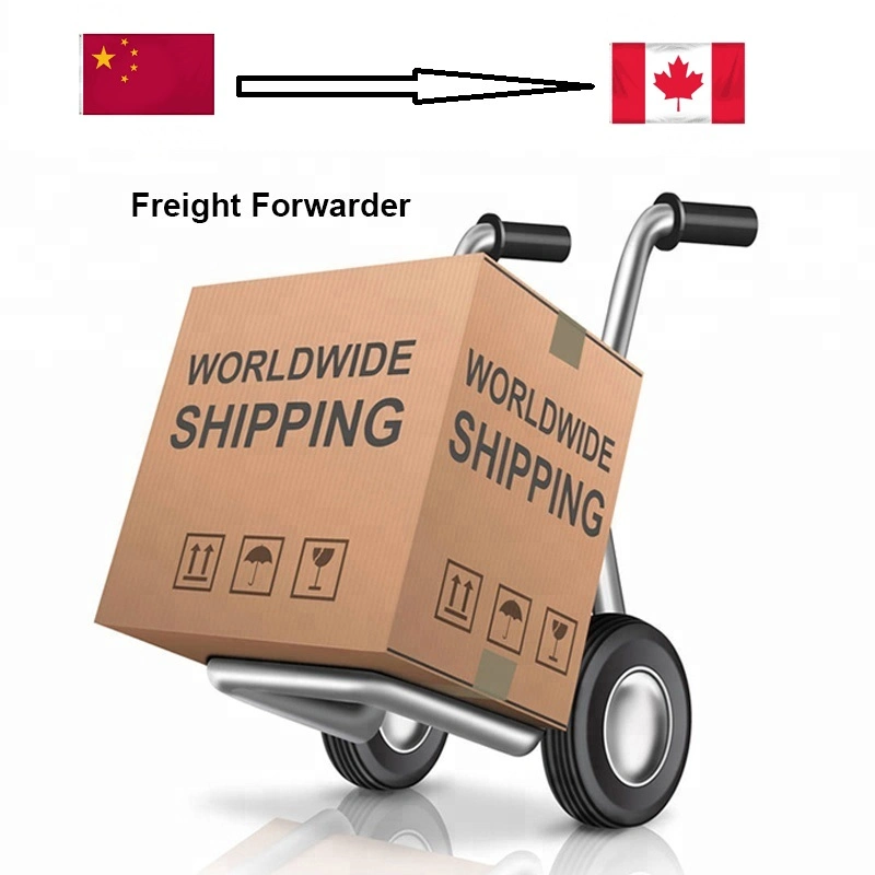 International Logistics Air Cargo Door to Door Amazon Fba Delivery to USA/UK Shipping Agent in Guangzhou China