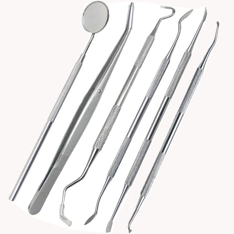 6PC/Set Dental Dentist Prepared Tool Set