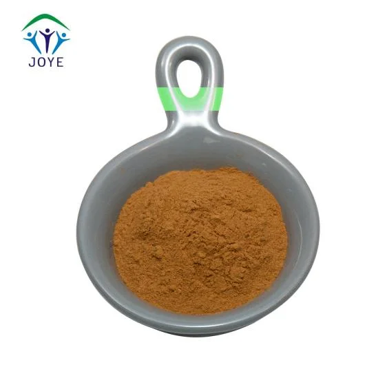 Loss Weight Coleus Forskohlii Extract Powder Forskolin