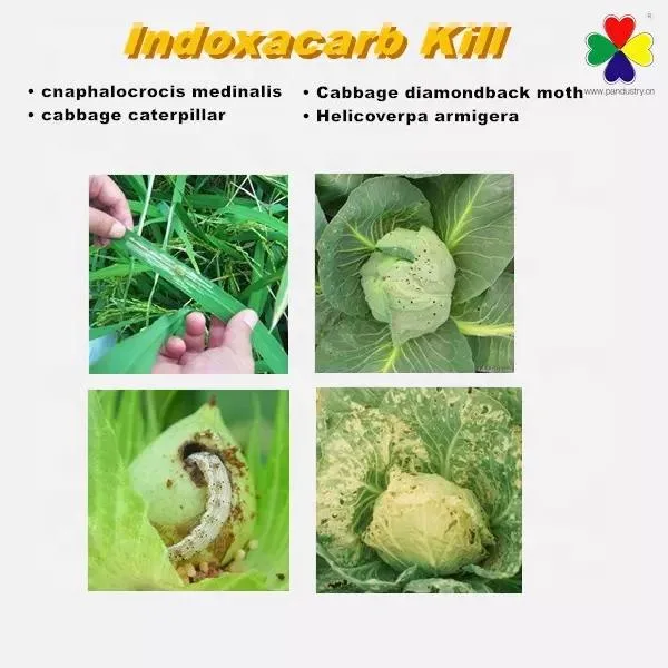 Insecticida Indoxacarb 95tc entrega rápida Indoxacarb polvo blanco