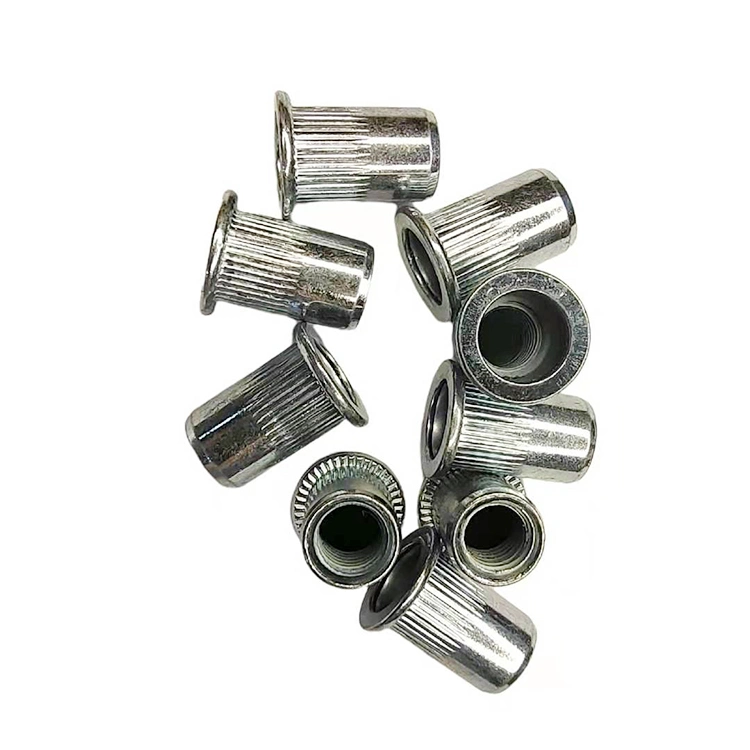 China Custom Blind Rivet Nut Countersunk Flat Head Rivet Nut