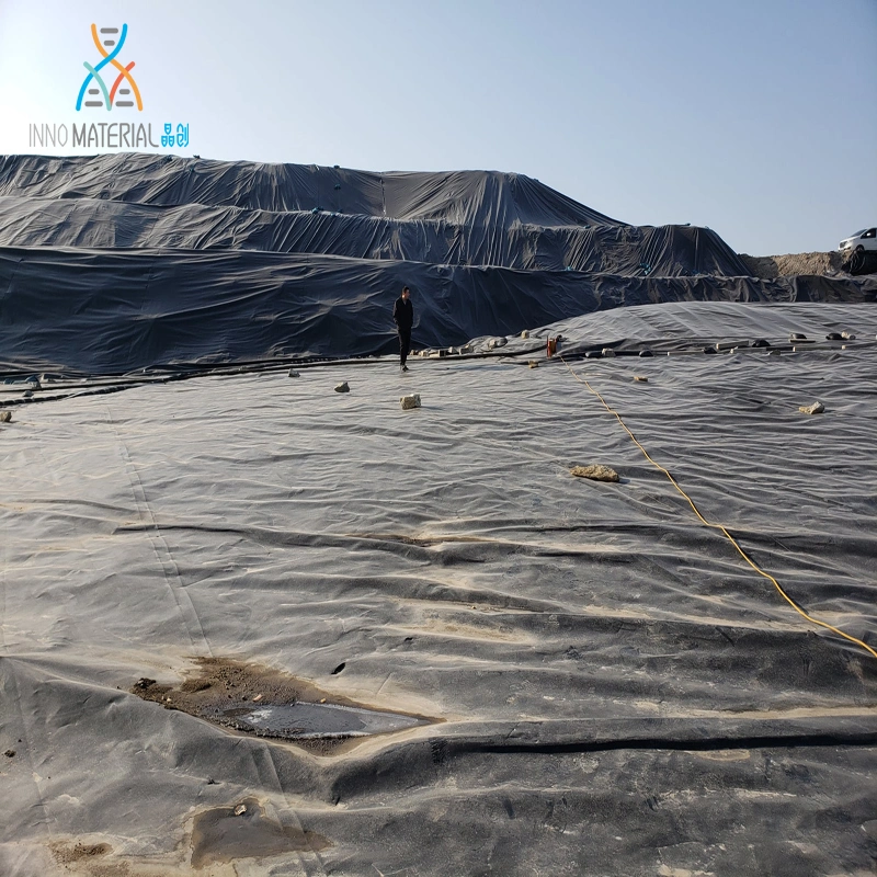 Woven Geotextile or Customized Environmental Project Waterproofing Membrane Geomembrane Price