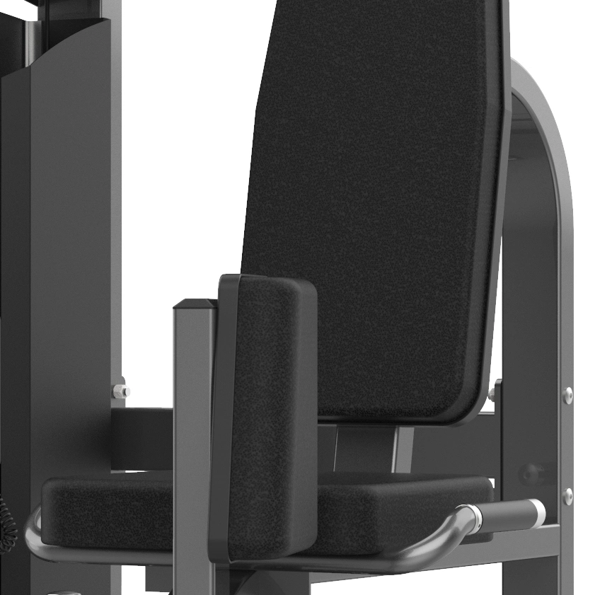 Realleader Highly Cost Effective Gym Equipment of Hip Adductor (M2-1004)