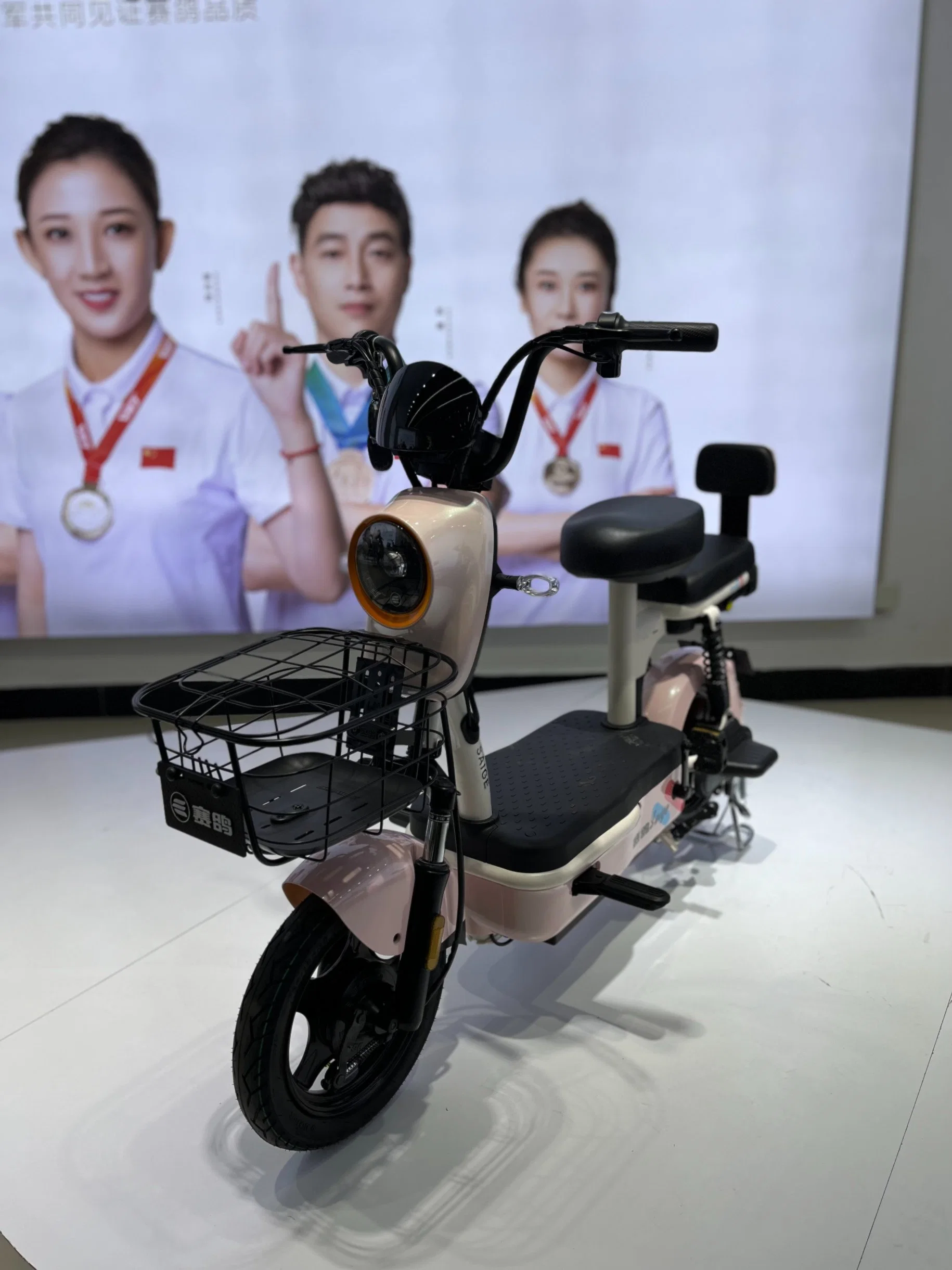 Yg-3e Plus Bike with Brake EEC, High-Capacity Motor for Mothers with Children