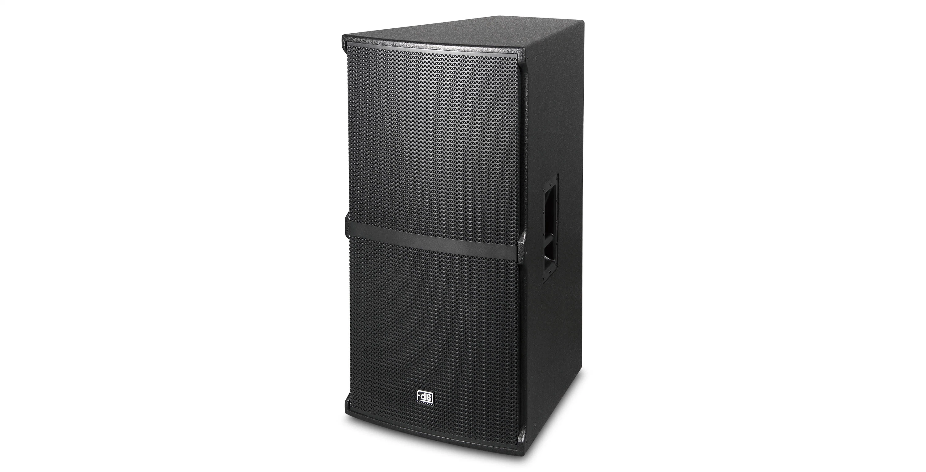 Professional Dual 15" Multi-Purpose Speaker