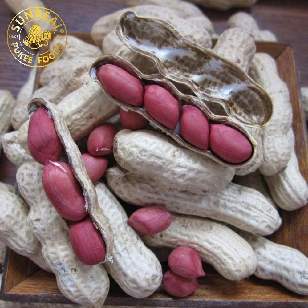 Roasted Peanut in Shell/Red Skin Peanut in Shell/Best Quality From China Good Shape