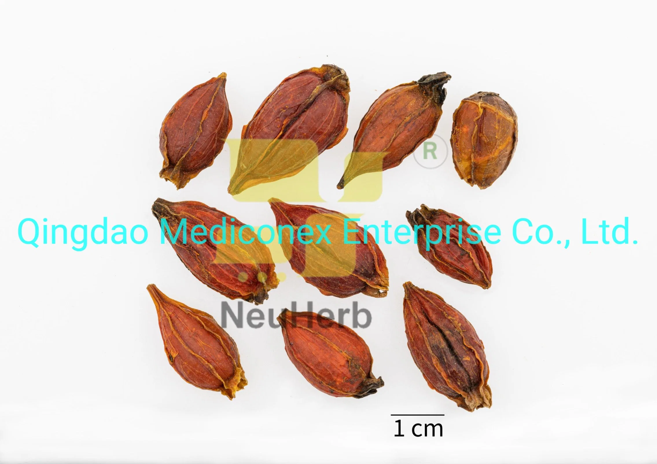 Anemarrhena Asphodeloides (rhizome) Crude Herb Plant Extract Natural Prepared Chinese Herbal Medicine