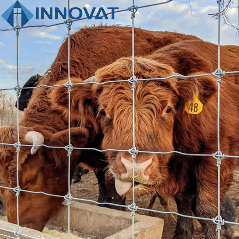 1.8m Height Hot-DIP Galvanized Cattle Fence for Livestocks