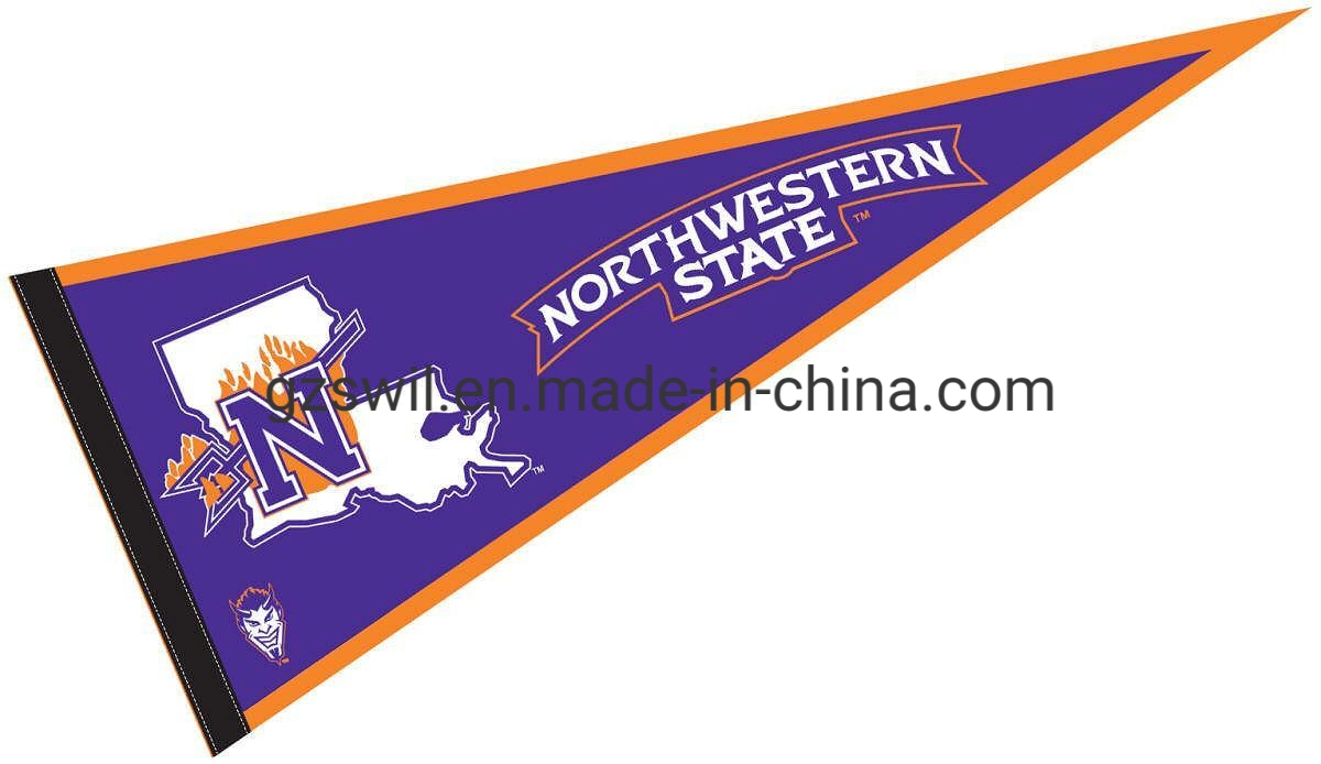 Colorful Customized Logo Felt Flag and Banner