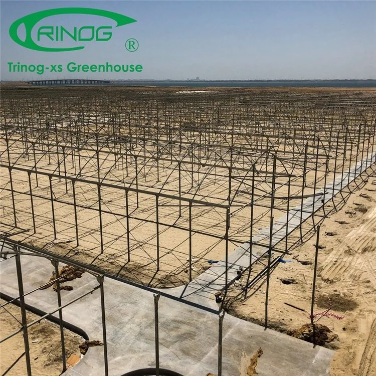 Commercial Large Plastic Film Green House with Shading System for Cultivation