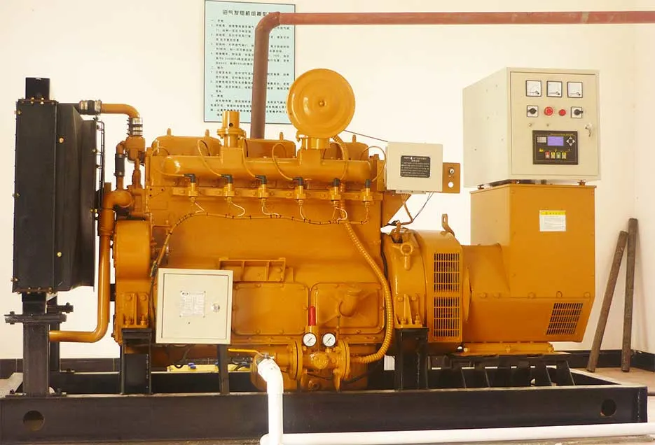 10-300kw Biogas Engine Generator Power Plant for CHP Project