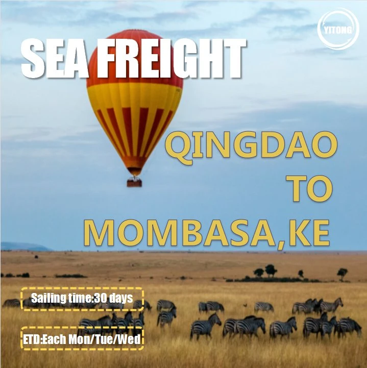 FCL Sea Shipping Agent From Qingdao to Mombasa Kenya