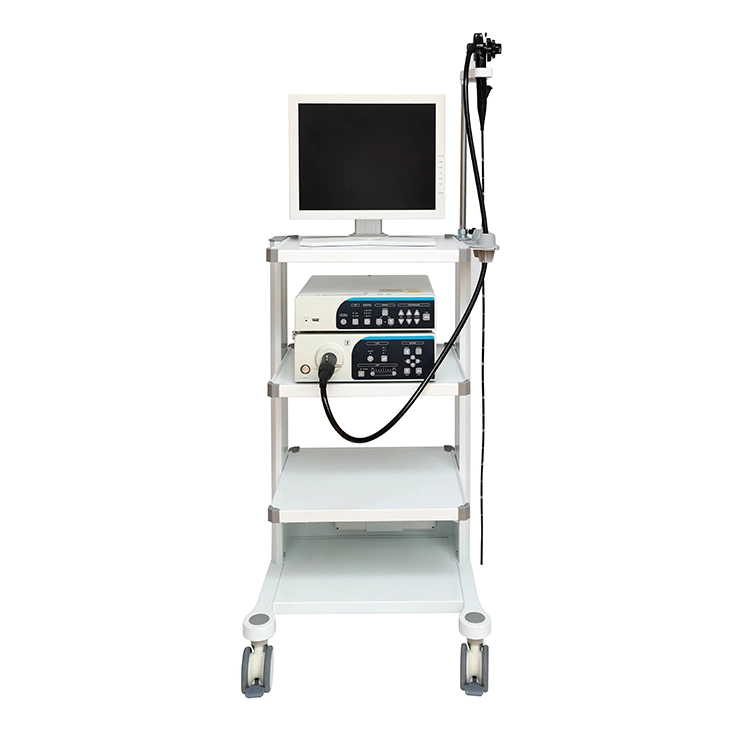 Équipement hospitalier Médical Gastroscope Colonoscope Système d'endoscope vidéo