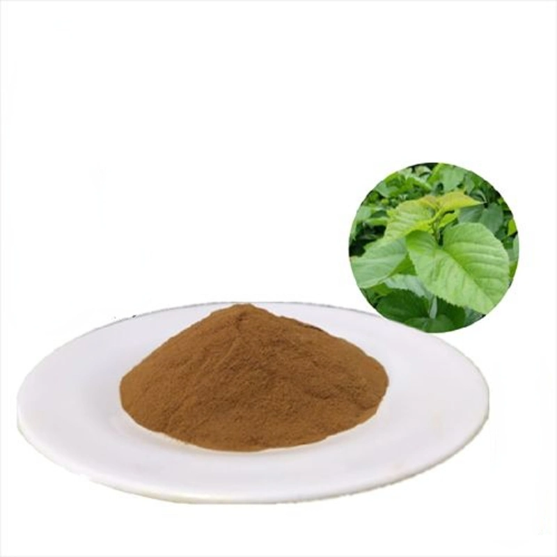 Halal & Kosher Mulberry Leaf Extract CAS19130-96-2