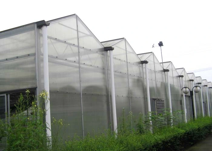 Poly Carbonate Greenhouse for Tomato Cucumber Pepper Growing