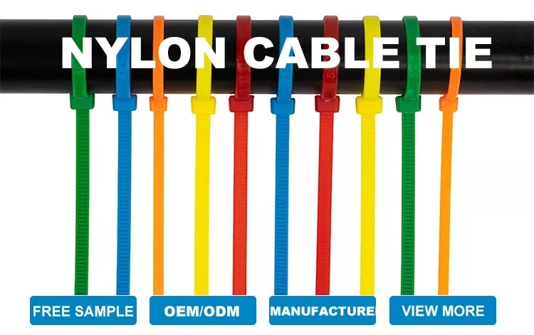 All Size Durable Plastic Self Locking Ss and Nylon 66 Cable Tie