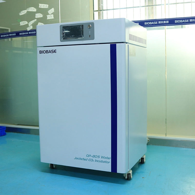 Biobase China 80L Air Jacket CO2 Incubator with UV Lamp for Sterilizing