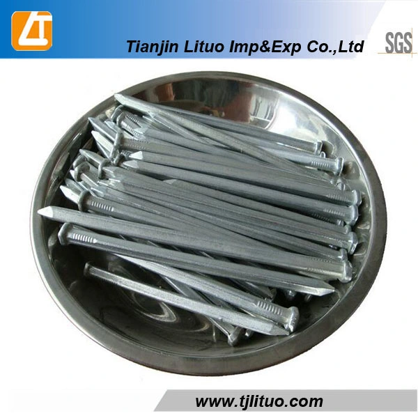 Hot Dipped Electro Galvanized Square Boat Nails