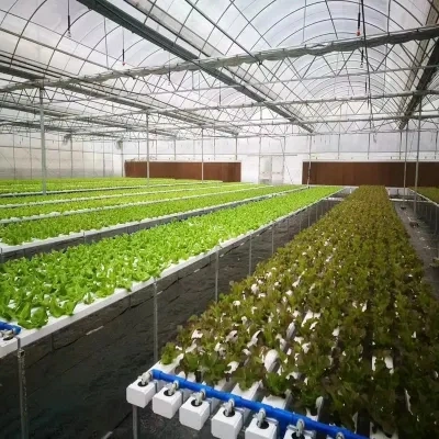 Original Factory Hydroponic System Multi-Span Greenhouse Planting