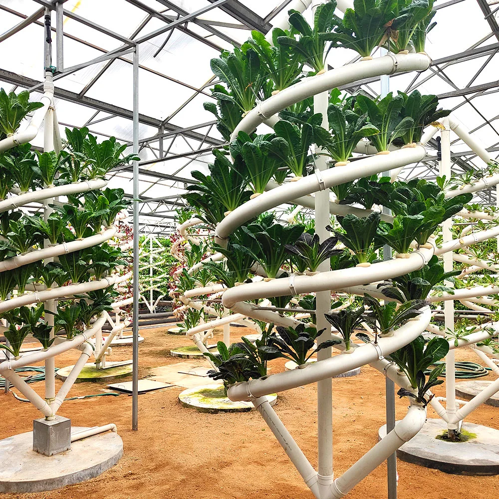 Vertical Formative Nft Nutrient Solution Culture Substrate Hydroponics Growing System for Greenhouse Leaf Vegetables/ Celery/ Lettuce