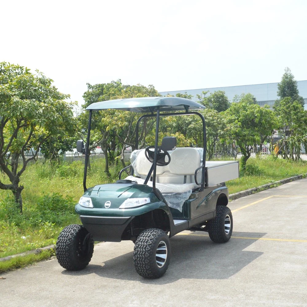 Electric Sightseeing Bus New 2 Seaters Battery Golf Vehicle (Lt-A627. H8G)