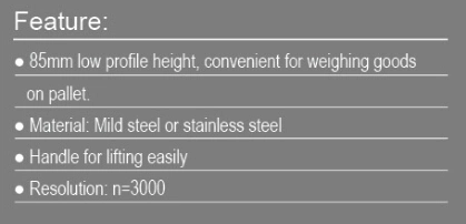 Excellent Quality Stainless Steel 1-3t Pallet Scale