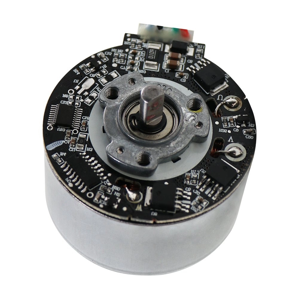 12V 24V 36V Micro DC BLDC Brushless Brushless Universal Table Fan Auto Elektromotor für Roboter / Fascia Massage Gun / Ginder Mit Drehzahlregler (CCC CE)