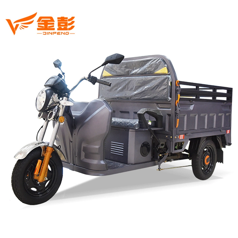 Tricycle Electric Trikes EEC 3 Wheel 60V100W Long Range with Range-Extender