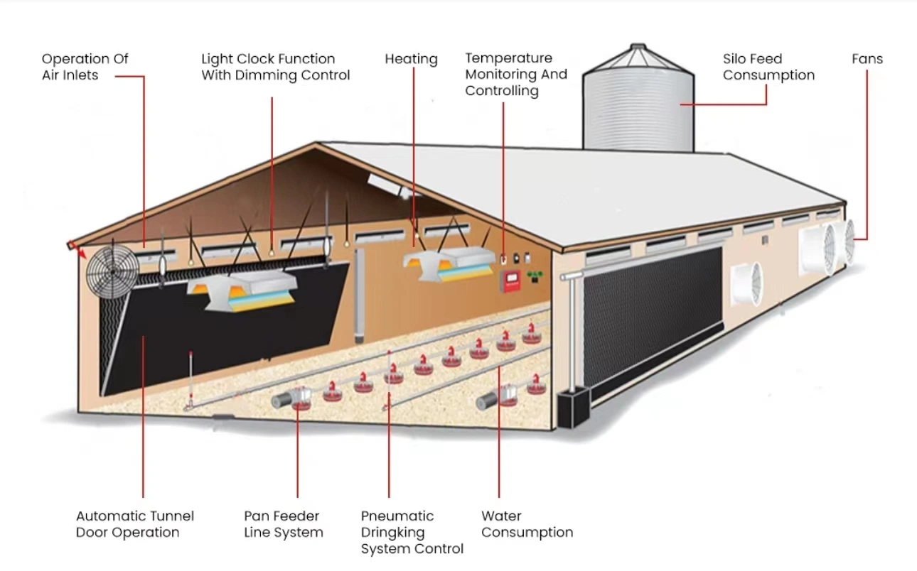 Poultry Chicken Broiler Ground Breading Feeding Equipment for Sale