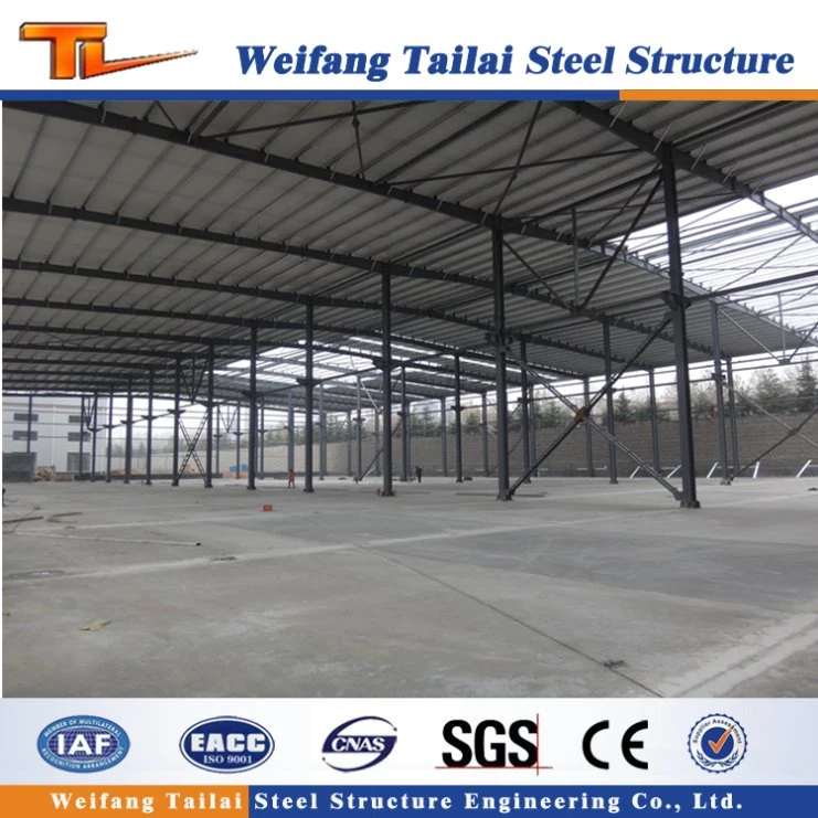 Large Span Light Weight Economic Prefab Steel Structure Agricultural Farm Warehouse