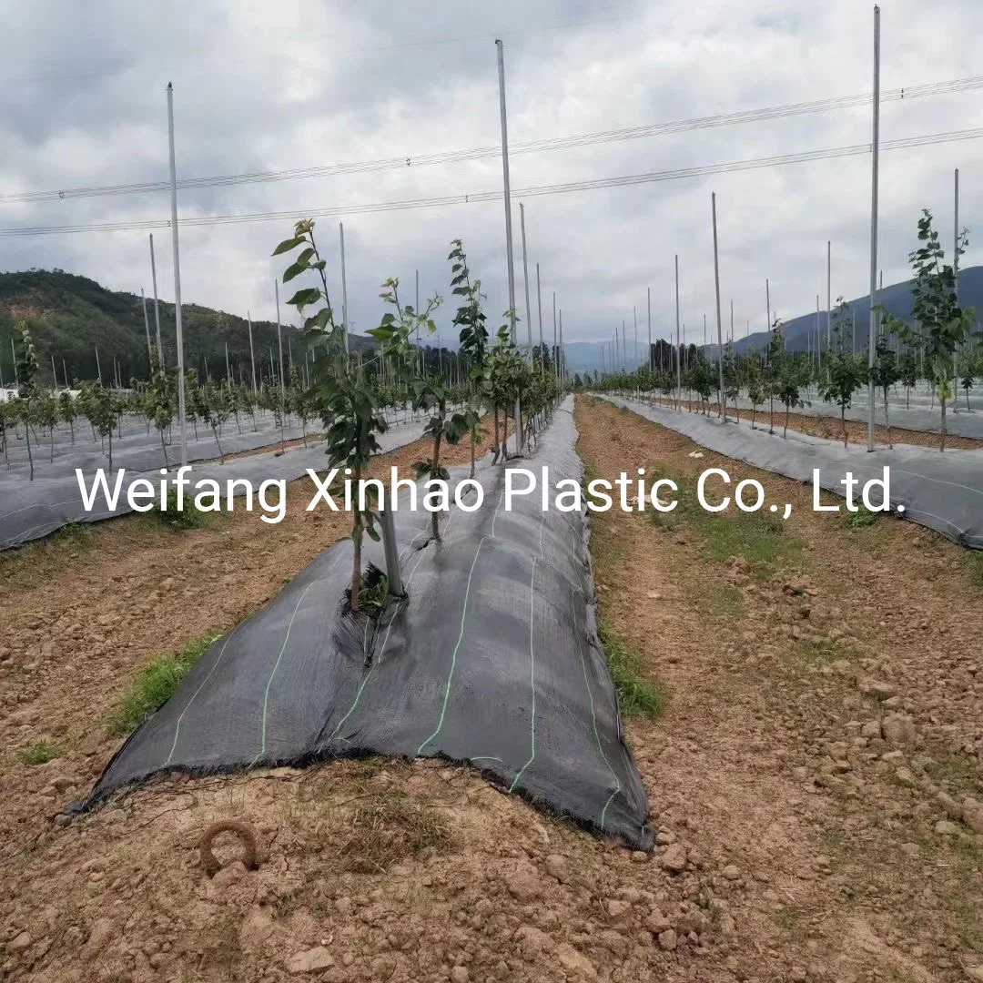 Weed Barrier Fabric Weed Control Carpet