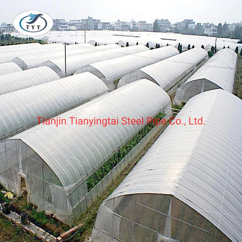 Hot Sale Sainpoly Agricultural/Commercial/Industrial Plastic Film Greenhouse