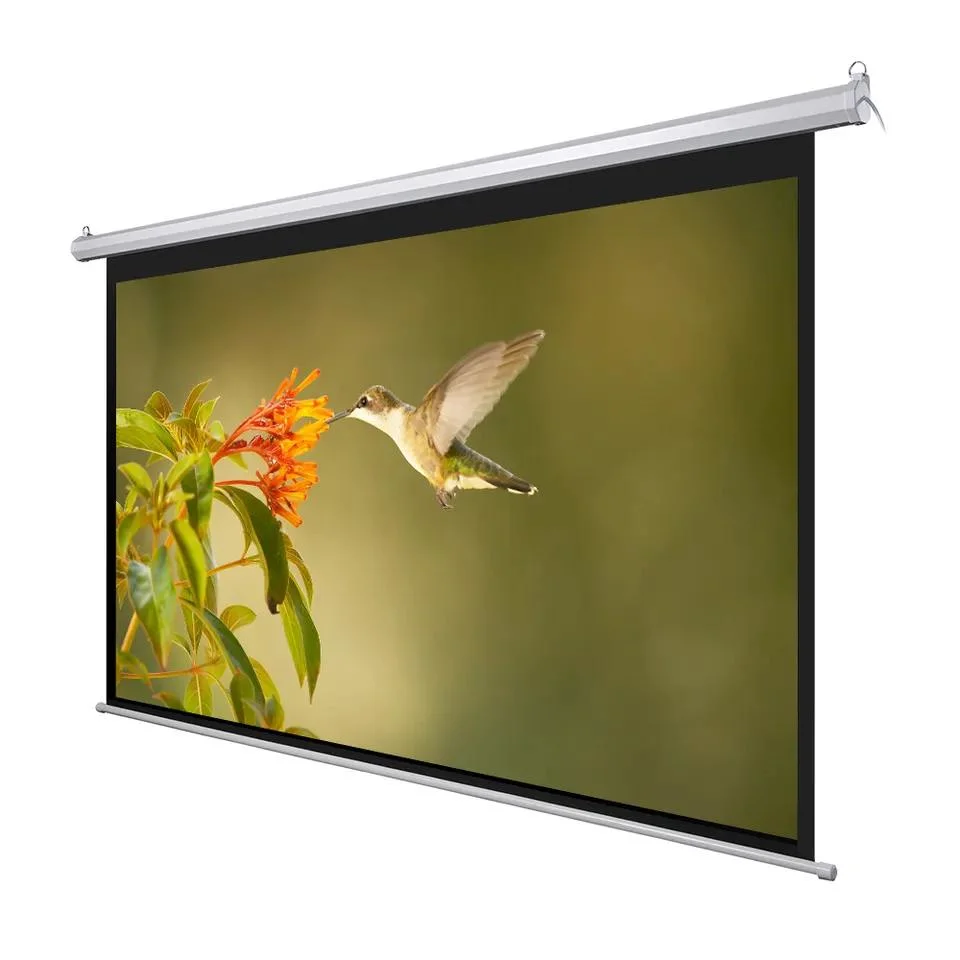 120 Inch Electric Projection Screen Office Supplier