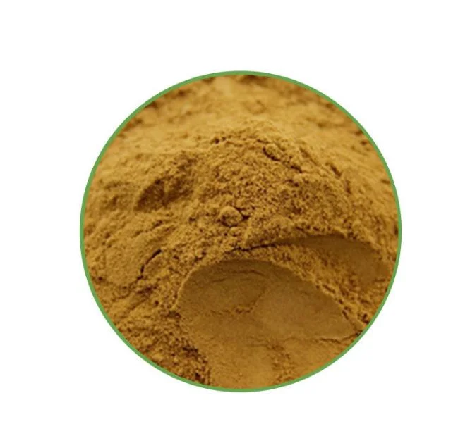 Ginkgo biloba استخراج 24 ٪ من النكهات الإجمالي 6 ٪ Terpene Lactones 5 ppm