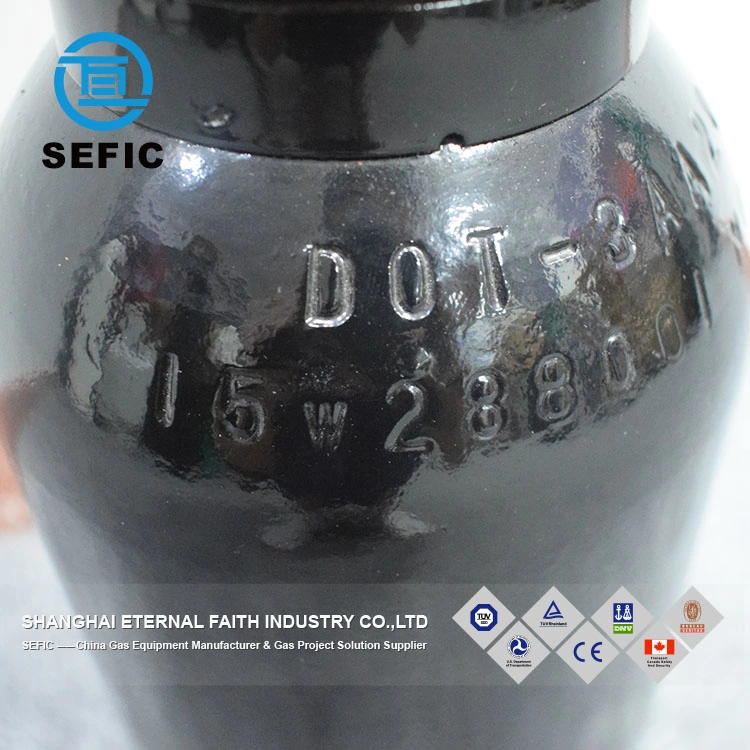 ISO/Tped/DOT Standard Small Nitrogen Gas Cylinder